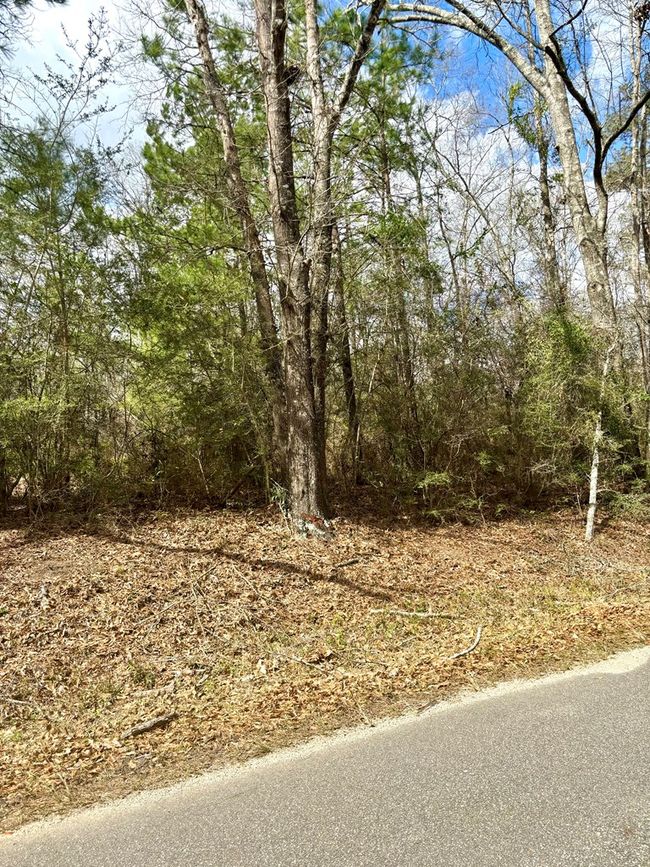 101 Will Thompson Rd, Home with 0 bedrooms, 0 bathrooms and null parking in Picayune MS | Image 13