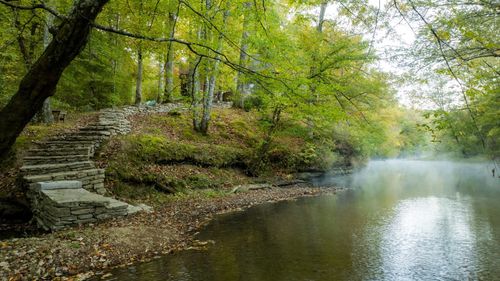 170 Warriors Path Ridge Rd, Summertown, TN, 38483 | Card Image