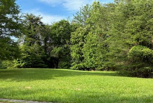 Lot 17 Waterstone Dr, Dandridge, TN, 37725 | Card Image
