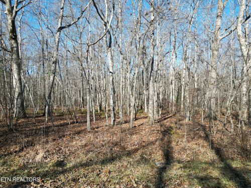 1135 Mohave Dr, Crossville, TN, 38572-3530 | Card Image