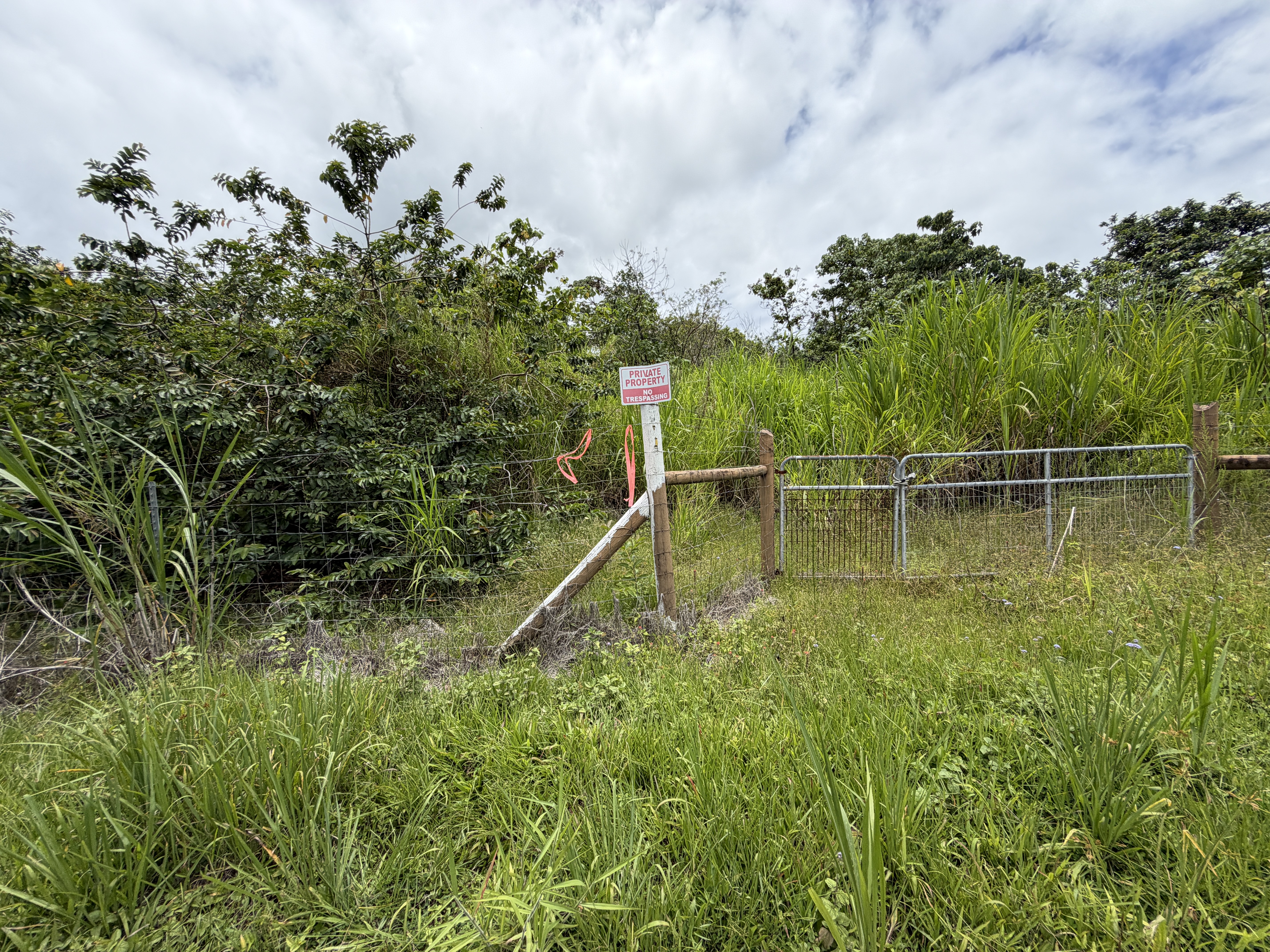 Land in Pahoa 2