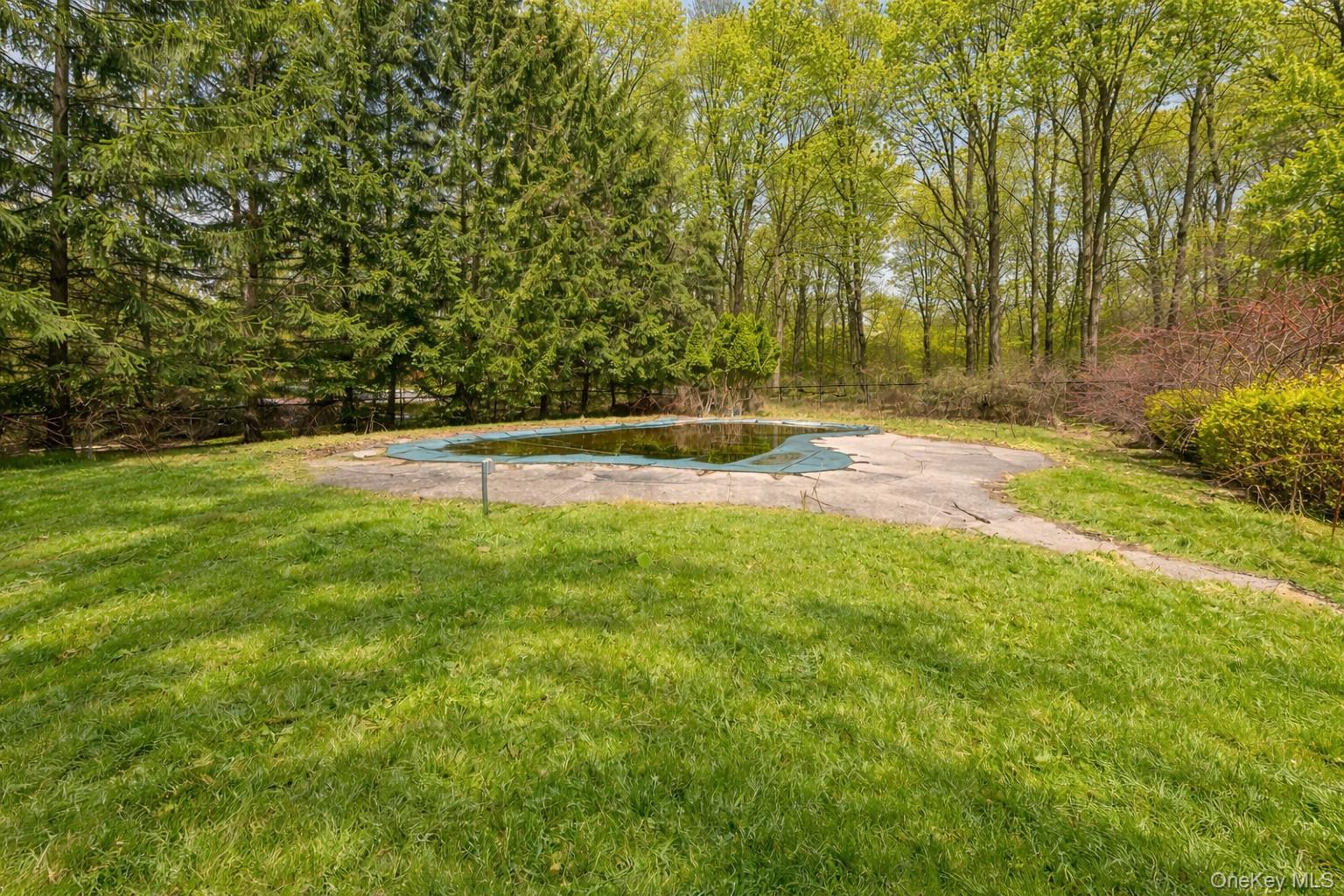 Land in Ramapo 3