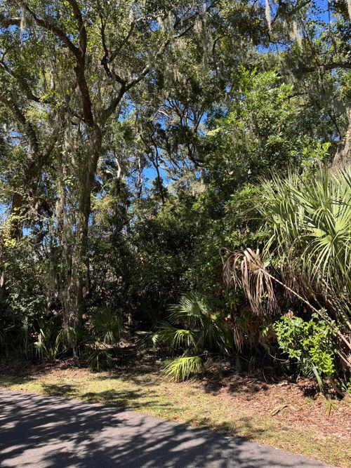 0 King Cotton Rd, Edisto Island, SC, 29438 | Card Image
