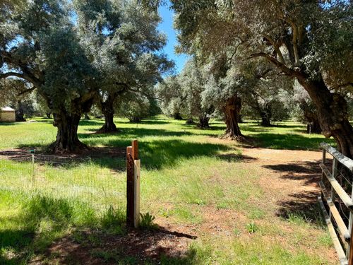 5572 Olive St, Anderson, CA, 96007-9269 | Card Image