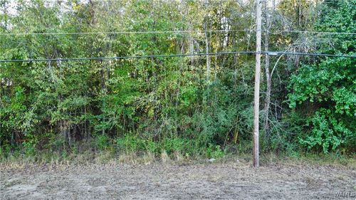 0 52nd St, Tuscaloosa, AL, 35401 | Card Image