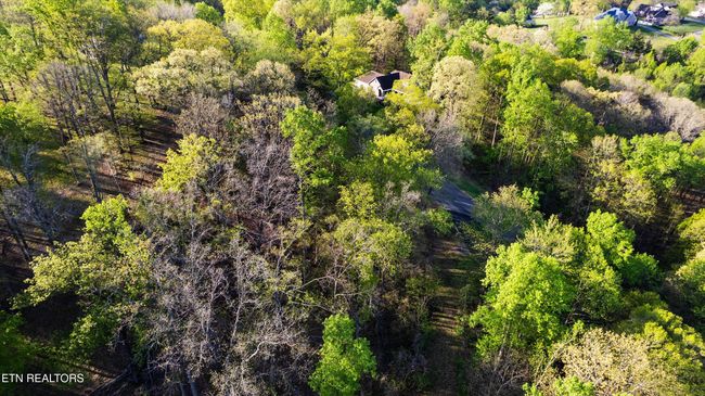 39 Apple Tree Dr, Home with 0 bedrooms, 0 bathrooms and null parking in Clinton TN | Image 11