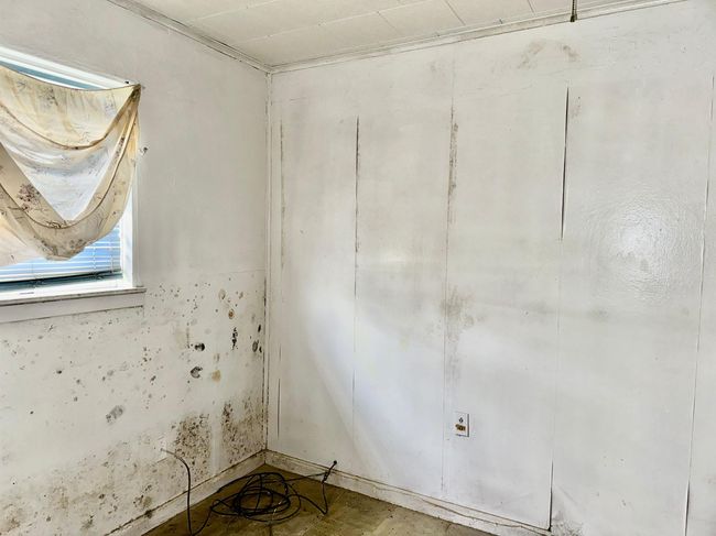 733 Phyllis Ave, House other with 3 bedrooms, 1 bathrooms and null parking in Port Arthur TX | Image 11