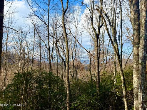 00 Ridgeline Drive, Brasstown, NC, 28902 | Card Image