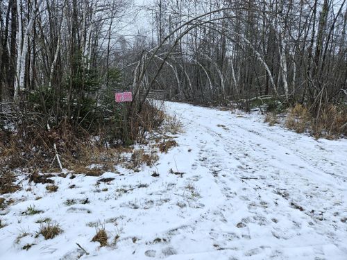 2 Fire Lane, Dairyland, WI, 54830 | Card Image