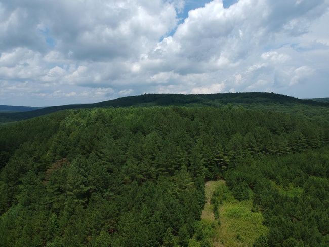 5199 Burkett Chapel Rd, Home with 4 bedrooms, 2 bathrooms and null parking in Whitwell TN | Image 21