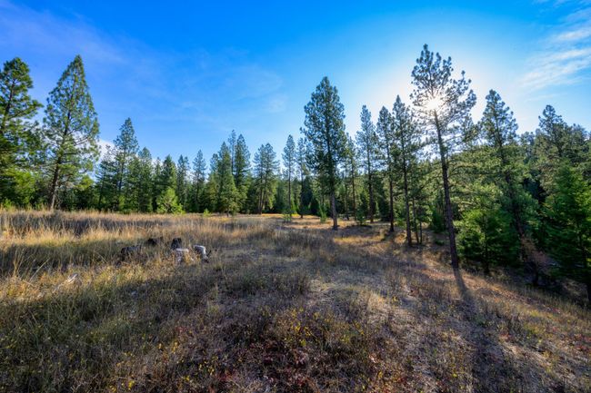 21029 Chisholm Trail Rd, House other with 3 bedrooms, 2 bathrooms and null parking in Huson MT | Image 37