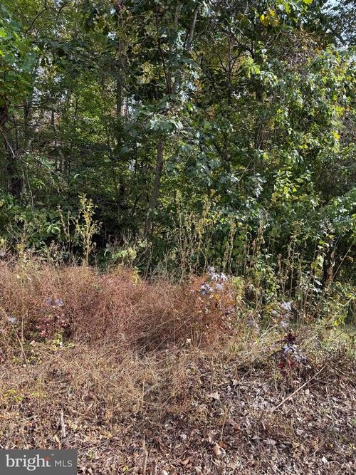 LOT 41 Traveller Cir, Montross, VA, 22520-9005 | Card Image