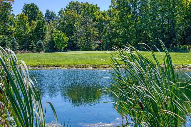 N9240 Hwy 55, Home with 0 bedrooms, 0 bathrooms and null parking in Pickerel WI | Image 49