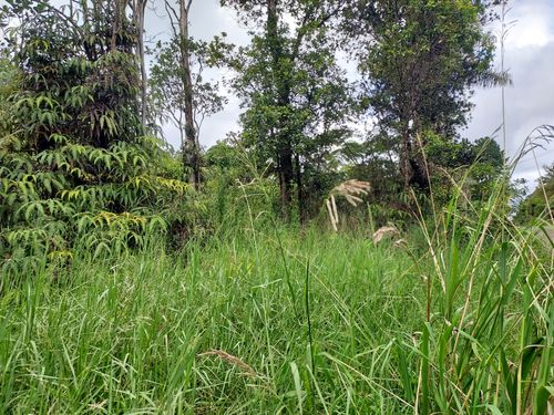 18-2300 Road 9, VOLCANO, HI, 96785 | Card Image