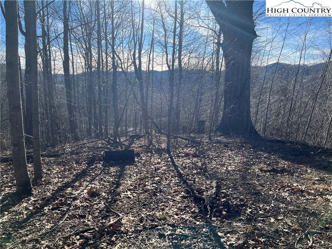 33 Paradise Valley Circle, Home with 0 bedrooms, 0 bathrooms and null parking in Creston NC | Image 9