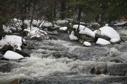 481 White Mountain Hwy, Chocorua, NH, 03817 | Card Image