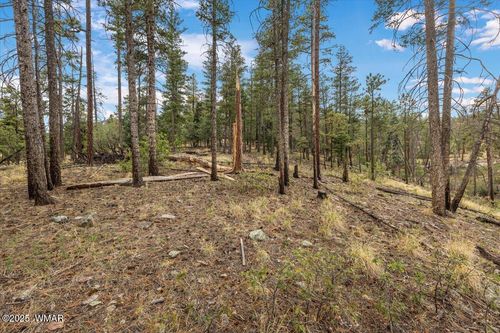 14 Copper Mountain Cir, Alpine, AZ, 85920 | Card Image