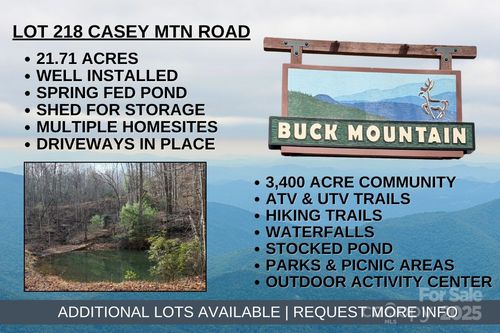 218-TBD Casey Mountain Road, Purlear, NC, 28665 | Card Image