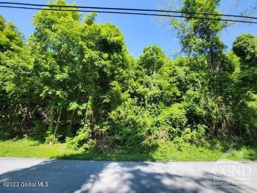 0 00 Brickyard Rd, New Lebanon, NY, 12125 | Card Image