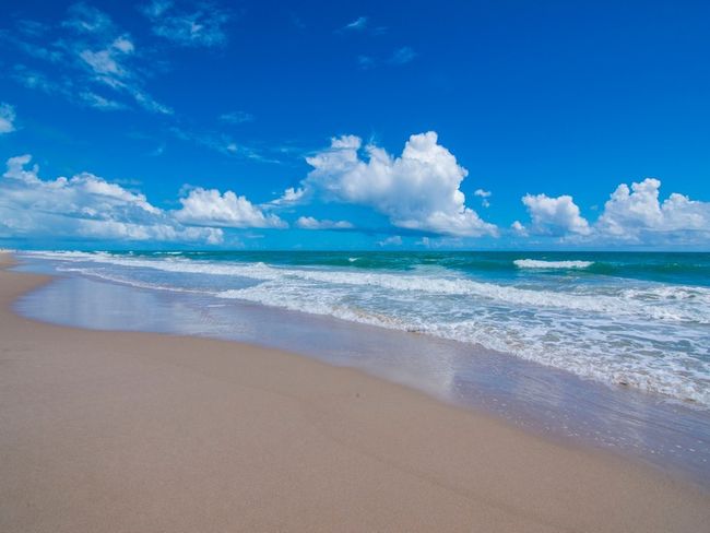 204A - 4160 N A1a, House attached with 3 bedrooms, 2 bathrooms and null parking in Hutchinson Island FL | Image 34