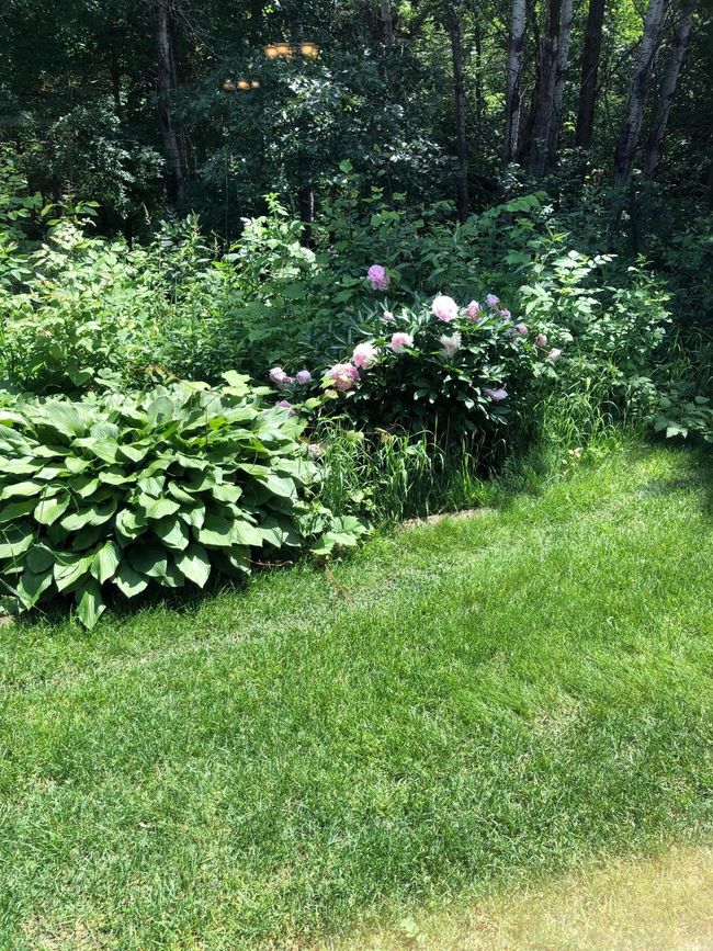 Backyard butts up to wildlife and the Elk River | Image 5