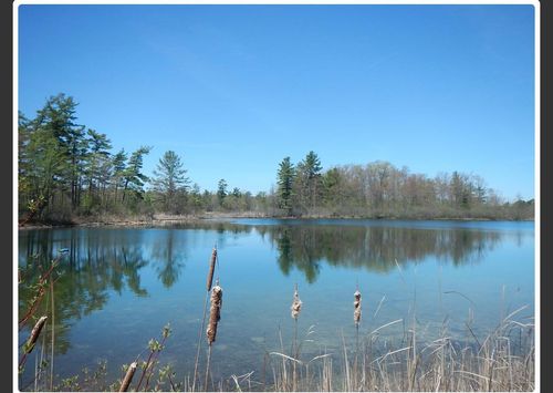 10345 Morgan Mills Rd Ne, Greenville, MI, 48838-8320 | Card Image