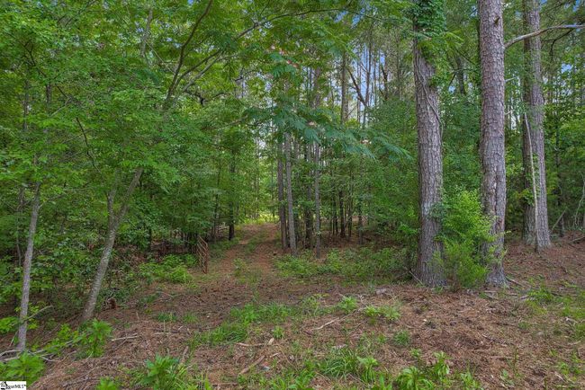00 Fort Lindley Rd, Home with 0 bedrooms, 0 bathrooms and null parking in Laurens SC | Image 5