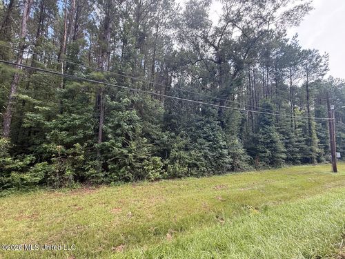 253 Red Dog Road, Carthage, MS, 39051 | Card Image