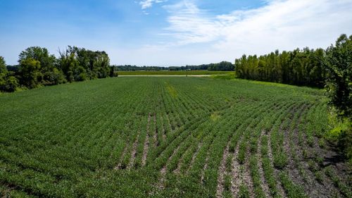 9.93 M/L Acres Highway 51, Albion, WI, 53589 | Card Image