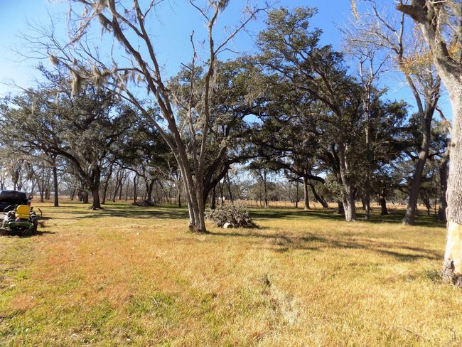 4 County Road 161 Shilo Loop, Home with 0 bedrooms, 0 bathrooms and null parking in Cedar Lane TX | Image 5