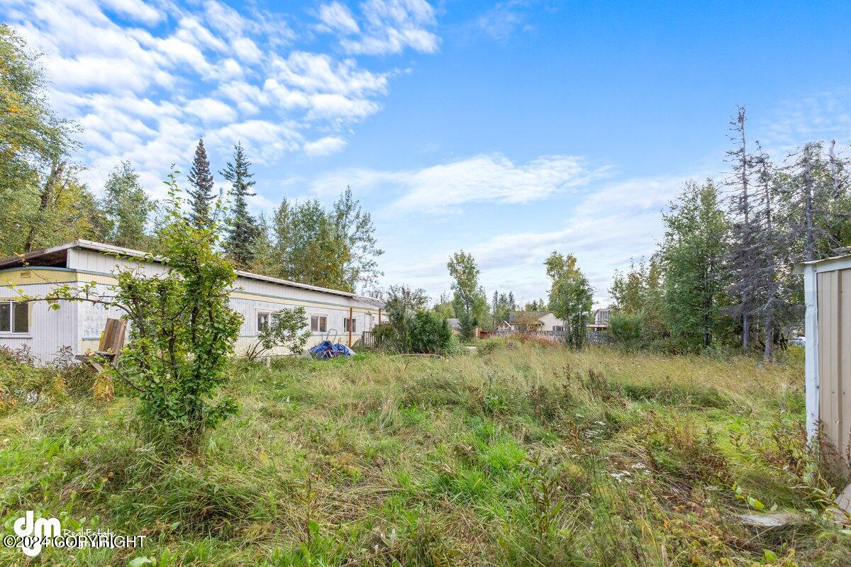 Williwaw Way, Wasilla, AK 99654 #1