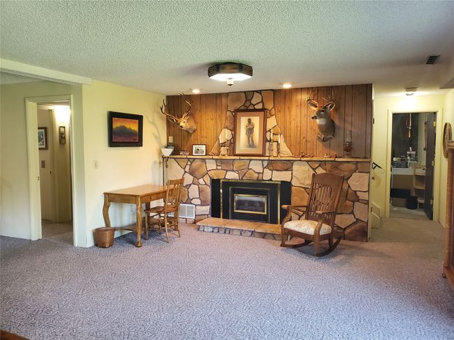 Lower Level Den | Image 29