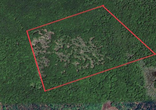 191 Off Ames Road Road, Cornville, ME, 04976 | Card Image