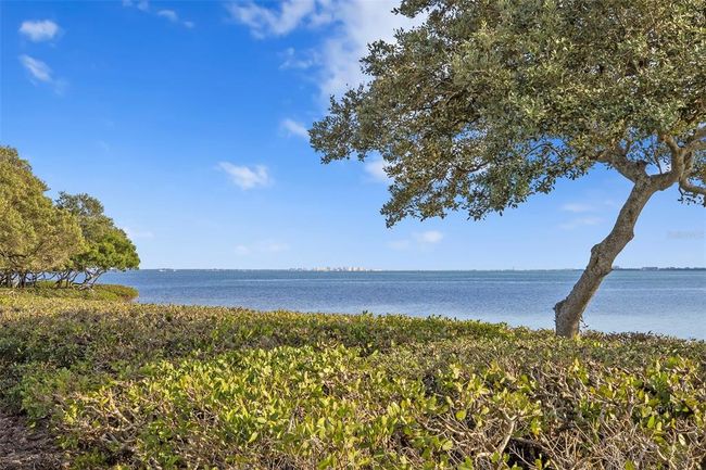 80 Tidy Island Boulevard, Townhouse with 3 bedrooms, 3 bathrooms and null parking in BRADENTON FL | Image 55