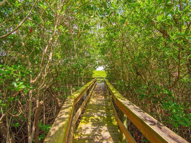 APT-54 - 4949 N Highway A1a, House attached with 3 bedrooms, 3 bathrooms and null parking in Hutchinson Island FL | Image 19