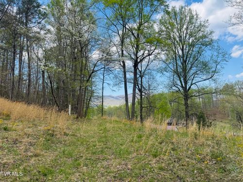 160 Bobs Hollow Rd, Elizabethton, TN, 37643-8204 | Card Image