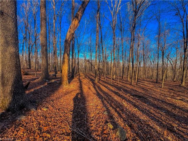 279 Palisades Trl, Home with 0 bedrooms, 0 bathrooms and null parking in Denton NC | Image 7