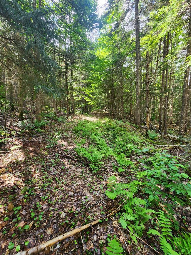 1602 E Haven Rd, House other with 3 bedrooms, 1 bathrooms and null parking in Island Pond VT | Image 56