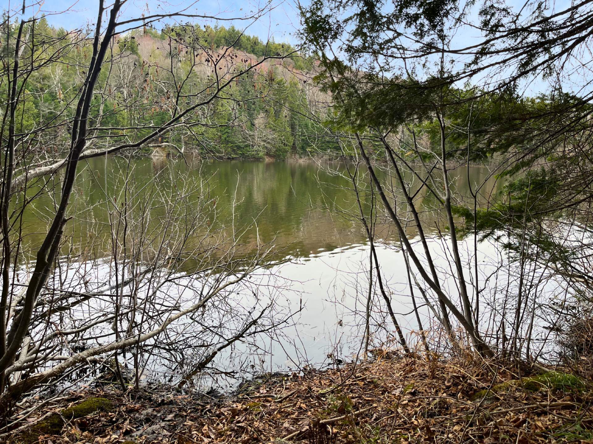 Land in Morin-Heights 3