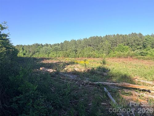 Lot 2 Doggett Grove Road, Forest City, NC, 28043 | Card Image