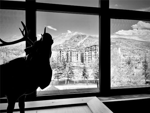 224-2300 Mount Werner Cir, Steamboat Springs, CO, 80487-9027 | Card Image