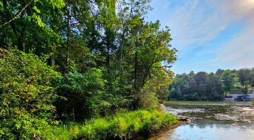 1421-445 Elk Lake Resort Rd, Owenton, KY, 40359-9163 | Card Image