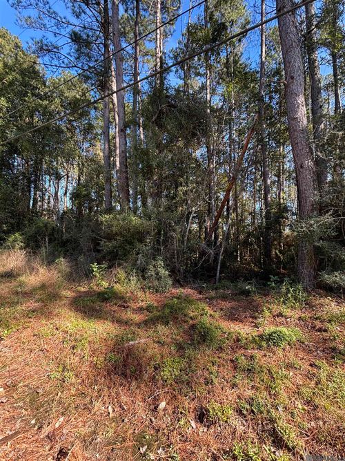 26514 Clyde Blount Rd, Livingston, LA, 70754-3811 | Card Image