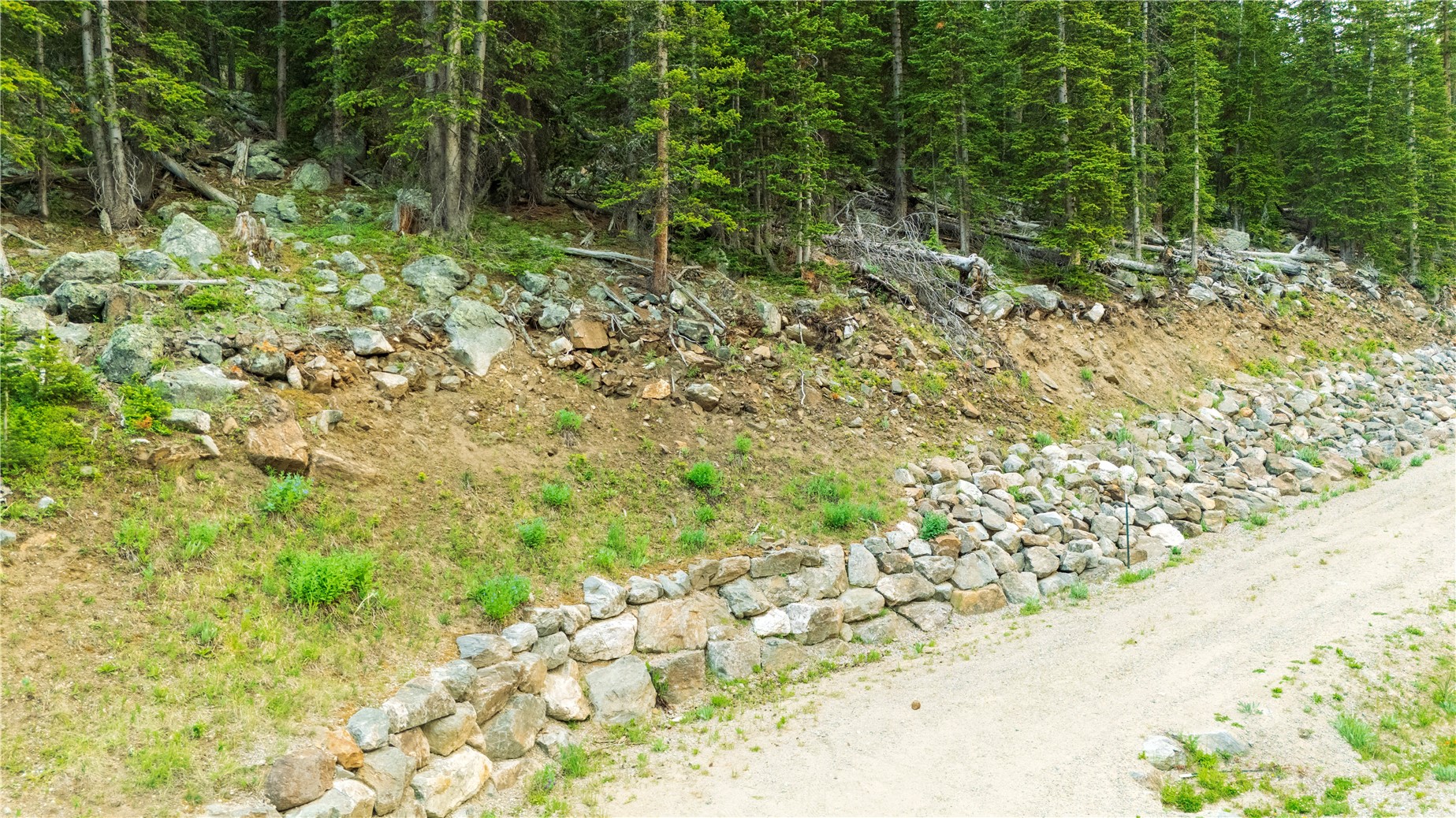 Land in Breckenridge 2