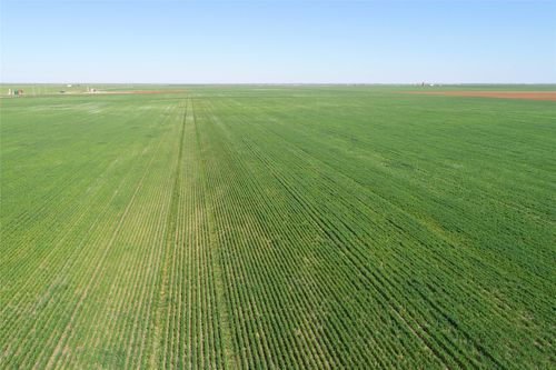 TBD County Road 81 S, Vernon, TX, 76384 | Card Image