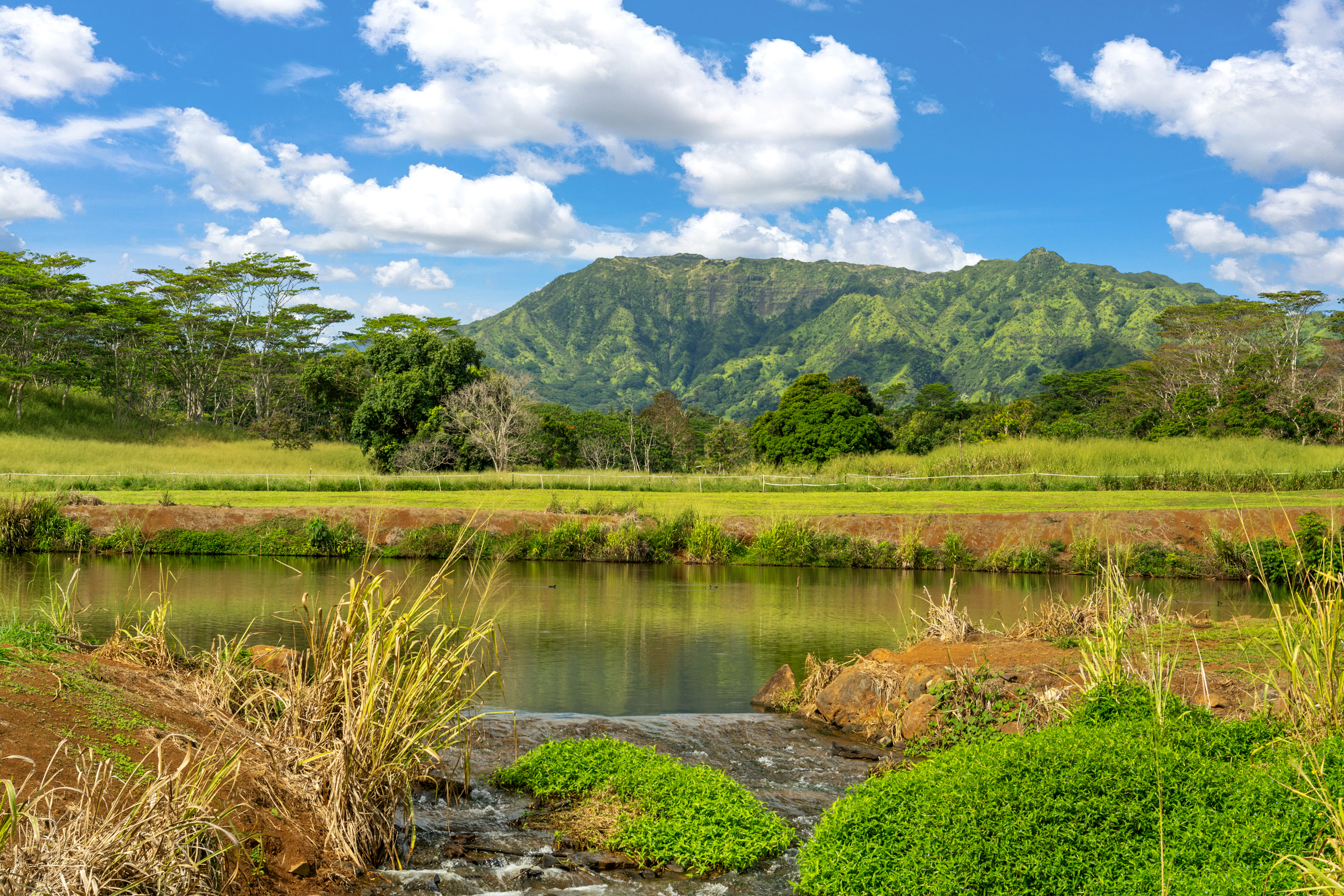 Land in Kapaa 3