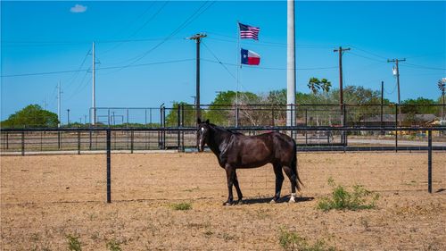 200 W County Road 418, Premont, TX, 78375-3763 | Card Image