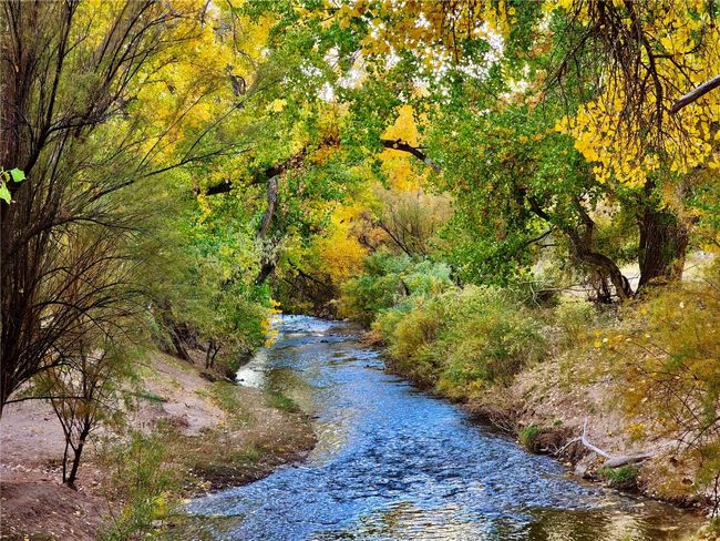 Water view featuring a view of trees | Image 38