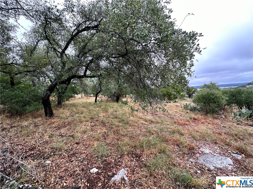 Land in Horseshoe Bay