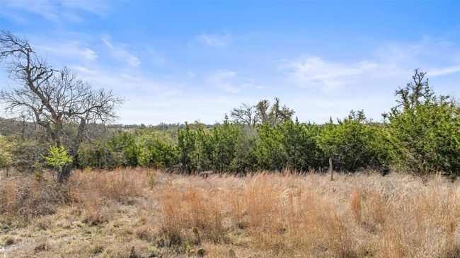 View of local wilderness | Image 11